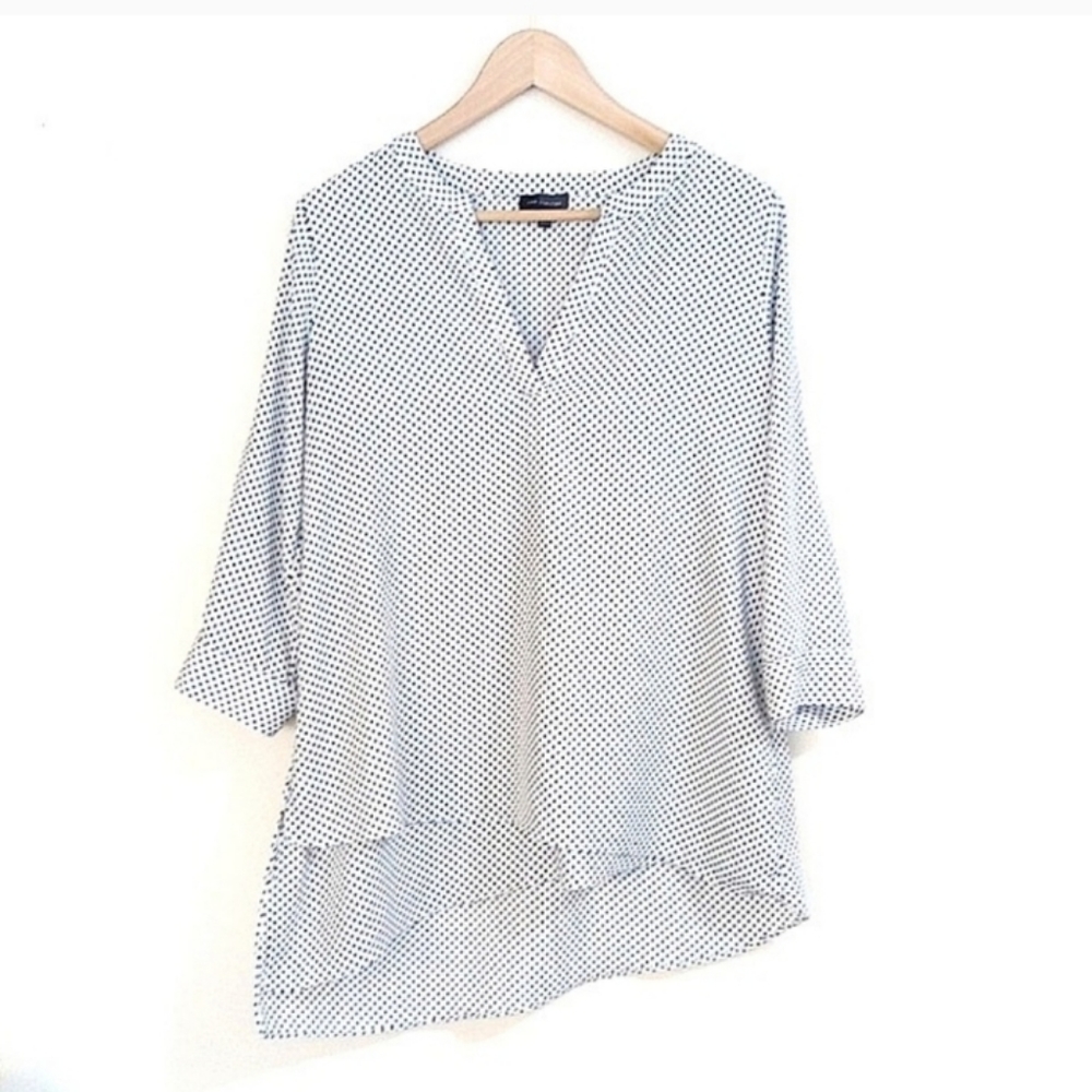 The Limited Tunic Polka Dots Asymmetric Layer Hem